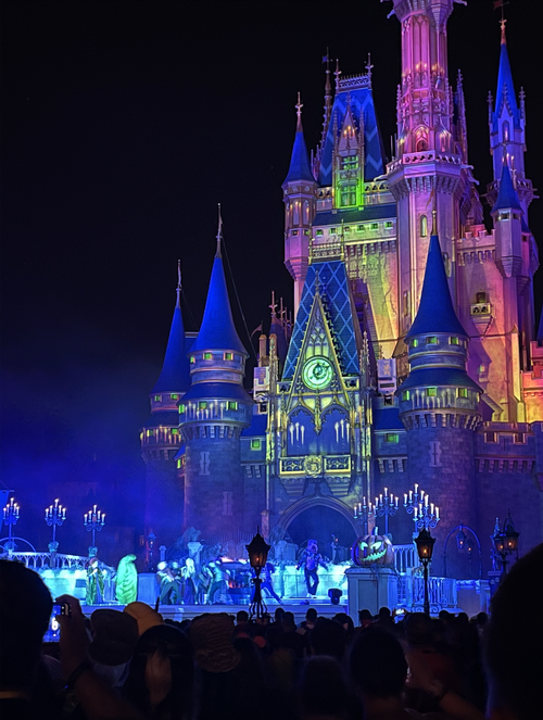 mnsshp-stage-show
